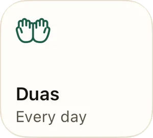 Duas tile, every day.